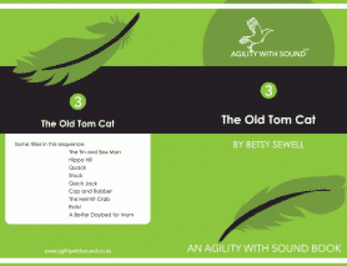 The Old Tom Cat
