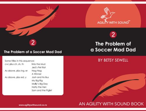 The Problem of a Soccer Mad Dad
