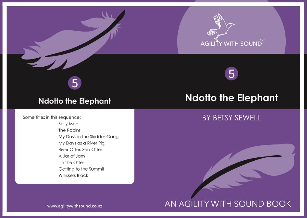 Ndotto The Elephant Ndotto The Elephant