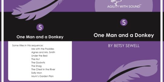 One Man and a Donkey