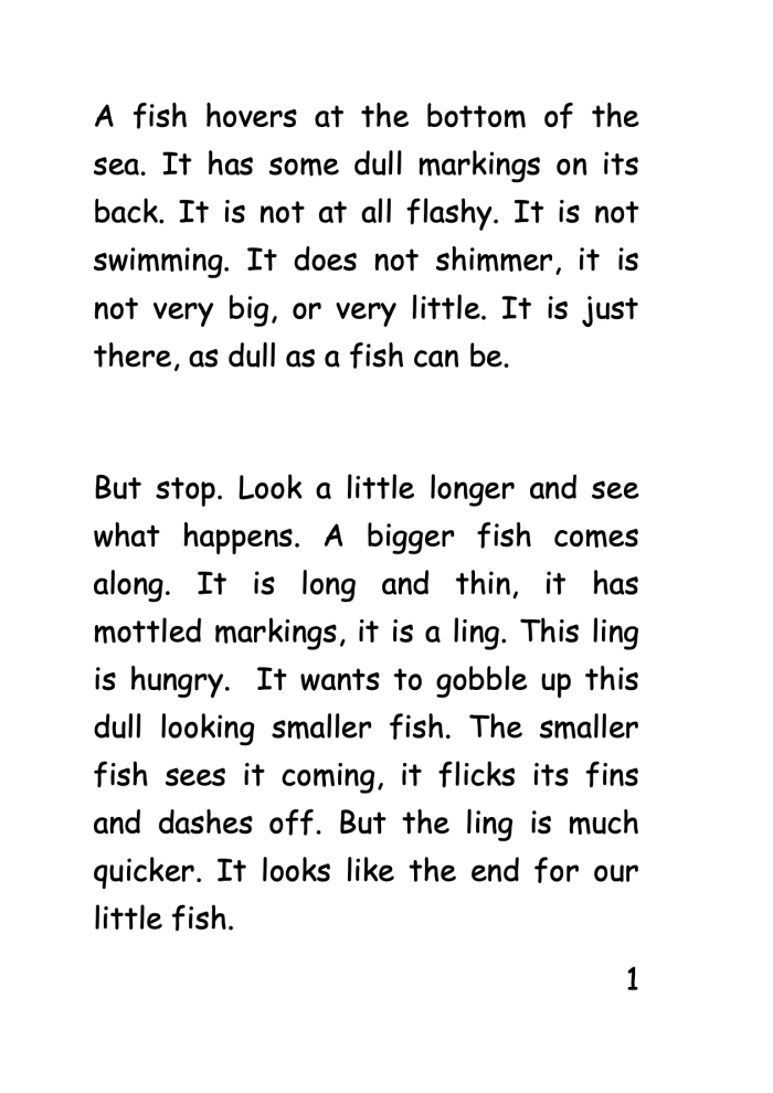 5 Pufferfish