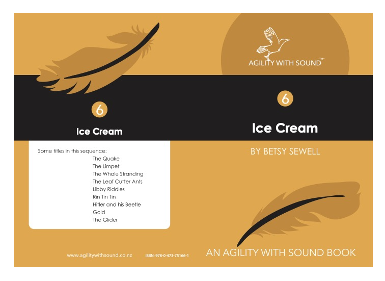 Lvl 6 - 18 'Ice Cream' (Book)