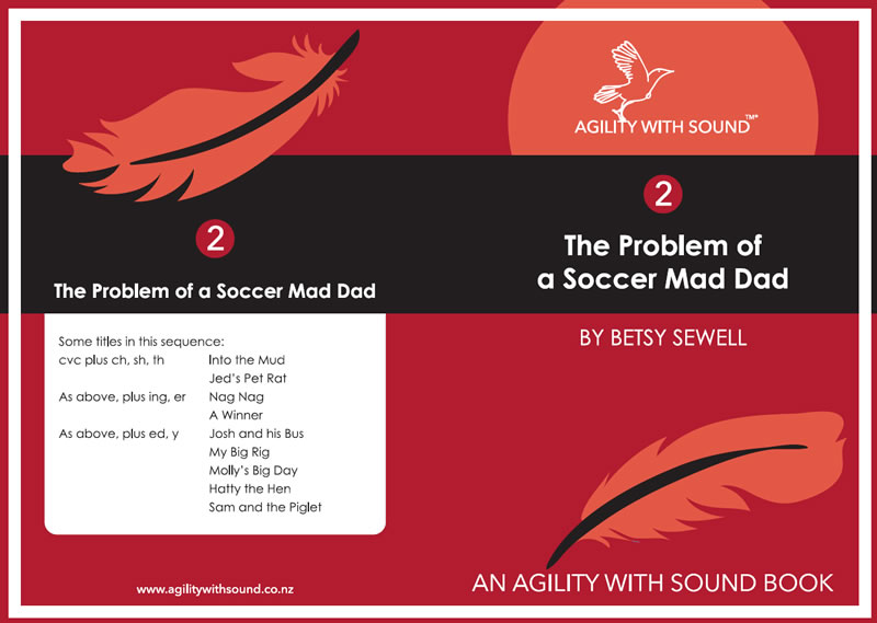Lvl 2 - 13 'The Problem of a Soccer Mad Dad' (Set)